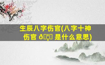 生辰八字伤官(八字十神伤官 🦊 是什么意思)